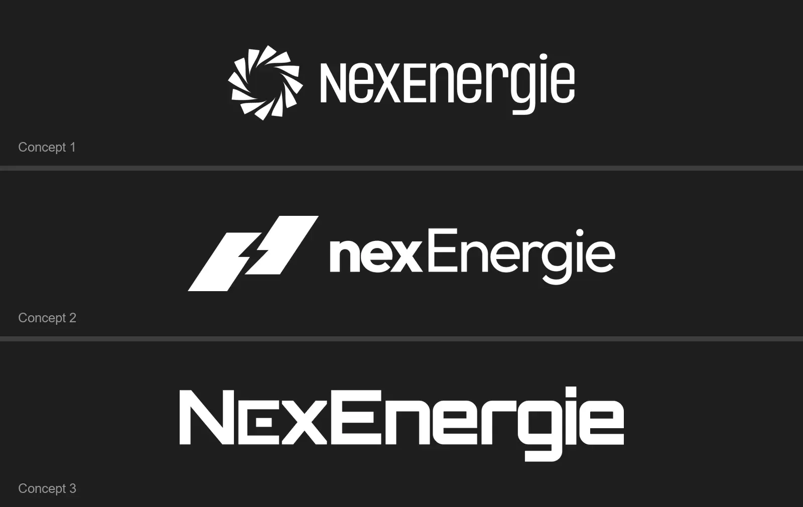 The 3 concepts on charcoal: a ring of blades, 2 slanted blocks with a bolt, and a wordmark