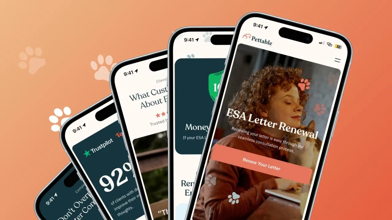 Pettable for Mechanism Ventures, product design